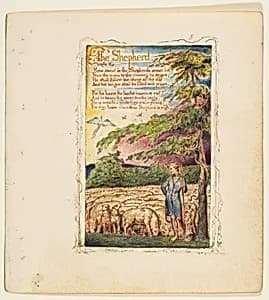 Songs of Innocence: The Shepherd by William Blake