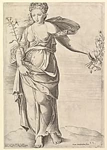 Speculum Romanae Magnificentiae: Flora by Enea Vico|Battista Franco|Anonymous, Italian, 16th century|Claudio Duchetti