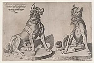 Speculum Romanae Magnificentiae: Two Dogs by Pietro Paolo Palumbo|Sebastiano di Re|Gasparo Alberti