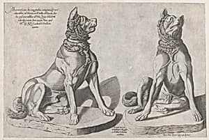 Speculum Romanae Magnificentiae: Two Dogs by Sebastiano di Re|Pietro Paolo Palumbo