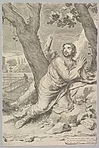St. Augustine
