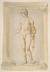 Standing Male Nude