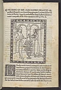 Storia di due amanti (Tale of Two Lovers) by Enea Silvio Piccolomini|Ser Piero Pacini da Pescia|Lorenzo di Pierfrancesco de' Medici|Alessandro Braccio