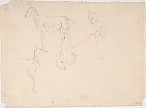 Studies of a Goat by Eugène Delacroix