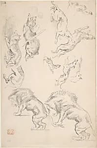 Studies of Animals by Eugène Delacroix