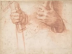 Studies of Hands by Andrea del Sarto (Andrea d'Agnolo)