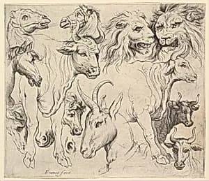 Studies of Heads by Battista Franco|Anonymous, Italian, Roman-Bolognese, 17th century
