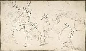 Studies of Hounds