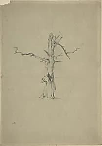 Study of a Dead Tree