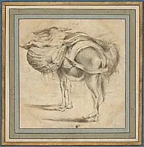 Study of a Donkey by Pieter Jacobsz. van Laer