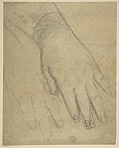 Study of a Hand by Anonymous, French, 19th century