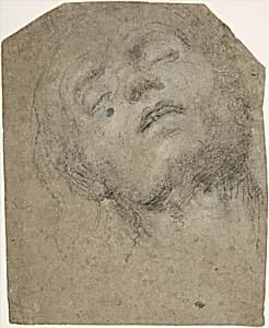 Portrait of Giovanni Gerolamo Savoldo