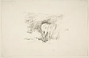 Study of a Horse by James McNeill Whistler