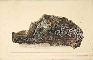 Study of a Rock by Anonymous, British, early 19th century