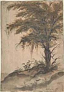 Study of a Tree by Marten van Valckenborch