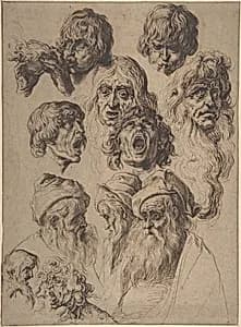 Study of Eleven Heads