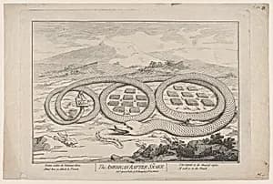 The American Rattle Snake by William Richardson|James Gillray