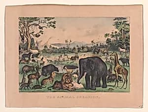 The Animal Creation by Currier & Ives