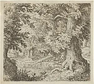 The Brook in the Wood by Allart van Everdingen