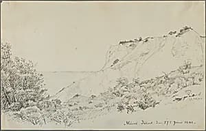The Cliff of Møn by Peter Christian Thamsen Skovgaard