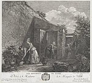 The Disciples of Flora