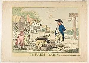 The Farm Yard