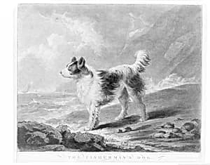 The Fisherman's Dog by Samuel William Reynolds, the elder|George Morland|Samuel William Reynolds, the elder