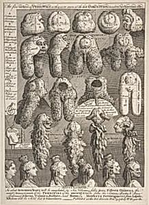 The Five Orders of Periwigs by William Hogarth