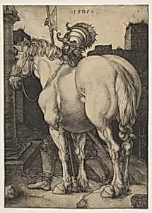 The Great Horse by Albrecht Dürer