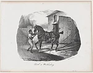 The Horse of Mecklembourg by Théodore Gericault|Godefroy Engelmann