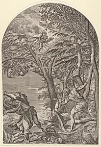 The Martyrdom of Saint Peter by Martino Rota|Titian (Tiziano Vecellio)|Luca Guarinoni