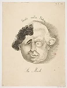The Mask