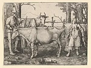 The Milkmaid by Lucas van Leyden