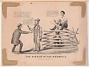 "The Nigger" in the Woodpile