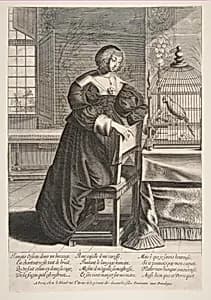 The Parrot by Abraham Bosse|Jean I Leblond