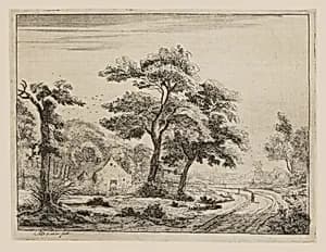 The Road to the Vilage