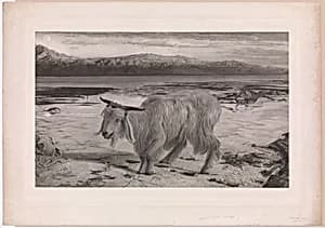 The Scapegoat by Henry Graves & Company|William Holman Hunt|Charles Henry Mottram