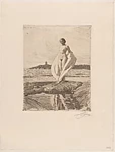 The Swan