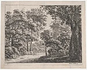 The Trimmed Groves by Anthonie Waterloo