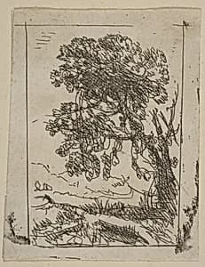 The Two Landscapes (Left Tree) by Claude Lorrain (Claude Gellée)