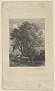The Willow by Samuel Palmer