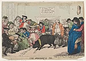 The Wonderful Pig by Thomas Rowlandson|S. W. Fores