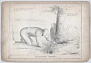 Tickling Trout