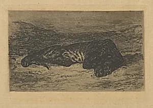 Tiger Lying in the Desert by Eugène Delacroix