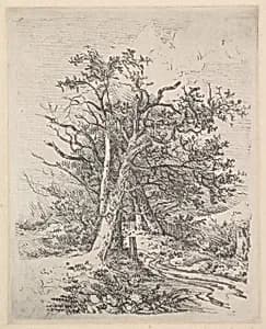 Tree Trunks and Lane by John Crome