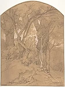 Trees in a Forest