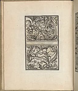 Trionfo Di Virtu. Libro Novo. by Matteo Pagano