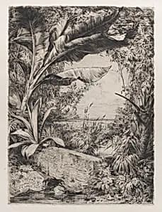 Tropical Plants by Jules-Ferdinand Jacquemart