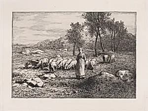 Troupeau de Porcs