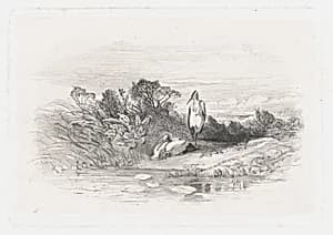 Two Herons